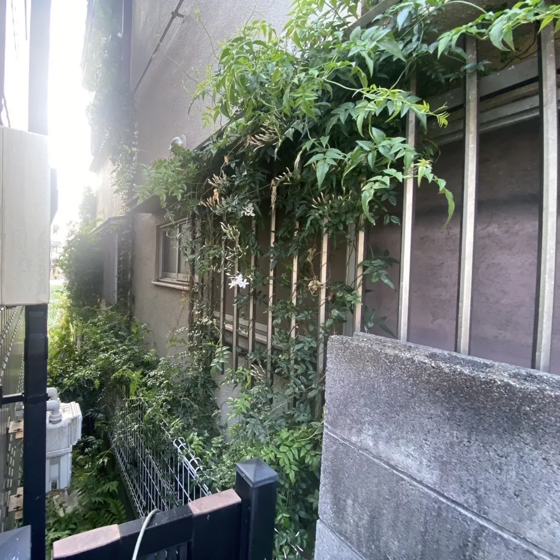 ビフォー9