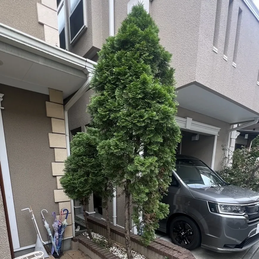 ビフォー9