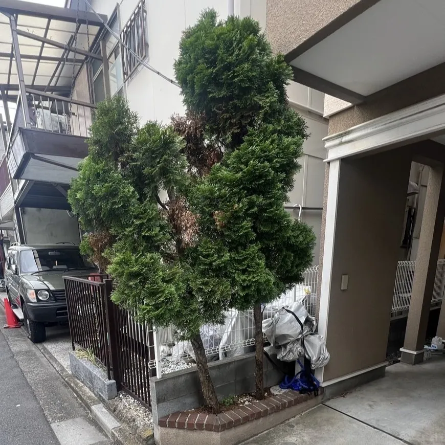 ビフォー9