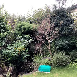 ビフォー6