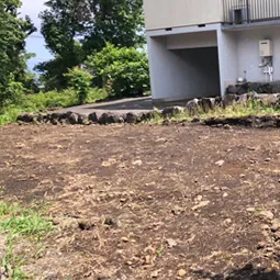 ビフォー8