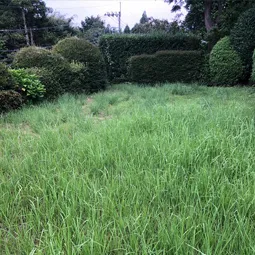ビフォー9