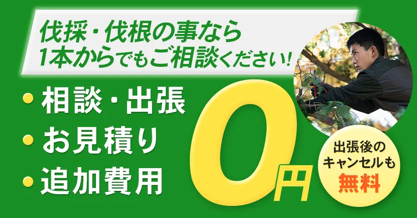 伐採・伐根の事なら1本からでもご相談ください